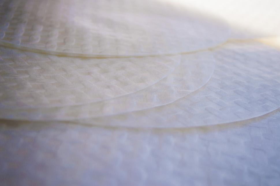 15 Facts About Rice Paper and Spring Rolls – Four Elephants