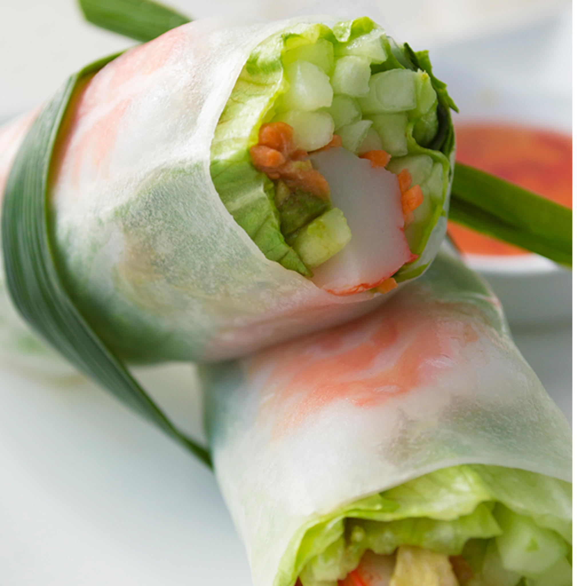 Spring Roll Paper (8.5 Inches) — Rice, Noodles and Rice Paper